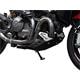 ZIEGER Motorschutz kompatibel mit Ducati Monster 821 schwarz